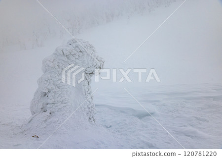 山形縣藏王樹冰 山形縣藏王樹冰 120781220