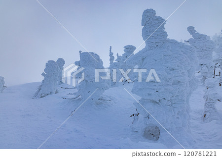 山形縣藏王樹冰 山形縣藏王樹冰 120781221