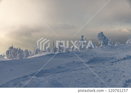 山形縣藏王樹冰 山形縣藏王樹冰 120781257