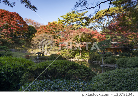Tea house in the garden of the Tokyo Metropolitan Teien Art Museum Tea house in the garden of the Tokyo Metropolitan Teien Art Museum 120781343