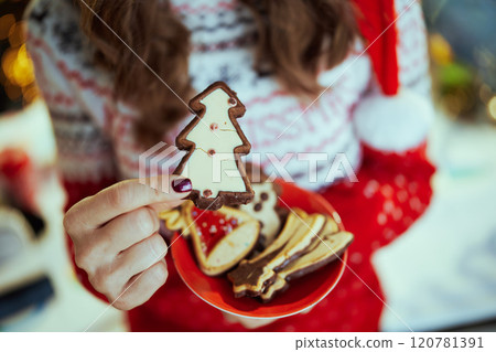 Business owner woman in green office with Christmas tree Business owner woman in green office with Christmas tree 120781391