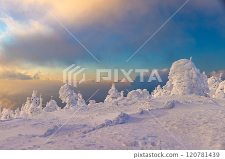 山形縣藏王樹冰 山形縣藏王樹冰 120781439