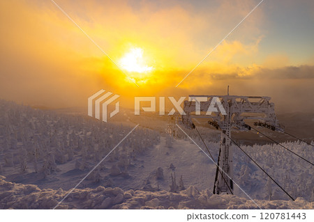Rime trees of Zao, Yamagata Prefecture 120781443