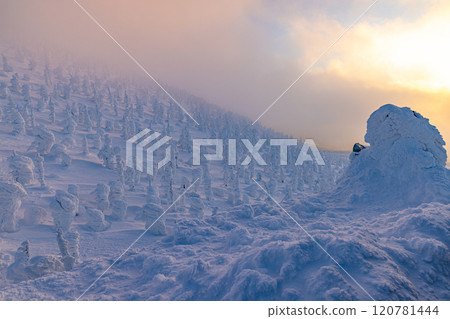 山形縣藏王樹冰 120781444