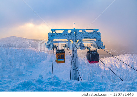 Rime trees of Zao, Yamagata Prefecture Rime trees of Zao, Yamagata Prefecture 120781446