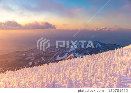 Rime trees of Zao, Yamagata Prefecture 120781453