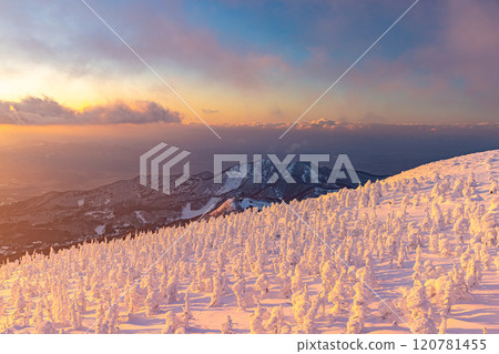 山形縣藏王樹冰 120781455