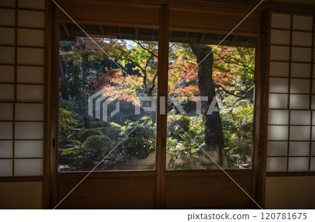 A Japanese garden seen from the teahouse at the Tokyo Metropolitan Teien Art Museum 120781675