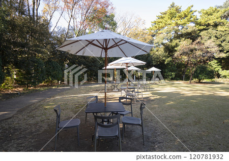 東京都庭園美術館 西洋庭園 120781932