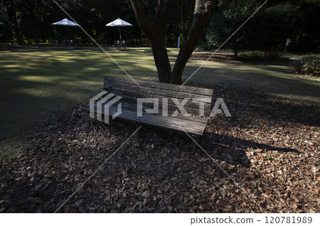 Park bench 120781989