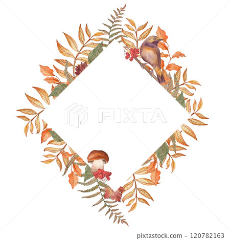 Autumn frame in the shape of a diamond with berries, branches and leaves of rowan, fern, mushrooms, birds The forest plants and the finch are hand-painted in watercolor in a botanical style 120782163