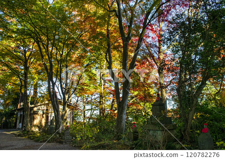 Mount Takao, Takaosan Yakuoin Temple, Stupa Square, late November 120782276
