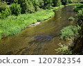 夏天河 120782354