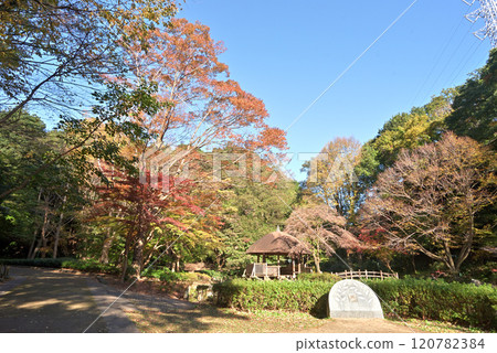 川崎市宮前區秋季東高根森林公園 川崎市宮前區秋季東高根森林公園 120782384