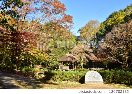 川崎市宮前區秋季東高根森林公園 川崎市宮前區秋季東高根森林公園 120782385