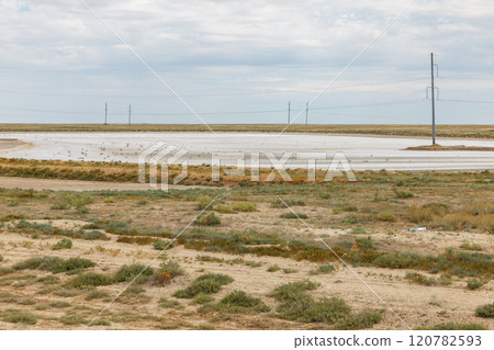 Landscape of a salt flat in Kazakhstan showcasing natural beauty and wildlife at midday 120782593