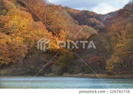 秋天，人們在碓冰湖劃獨木舟 120782738