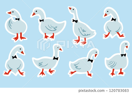White Goose Birthday Card Design Vector Cute Bird isolated Set 120783083