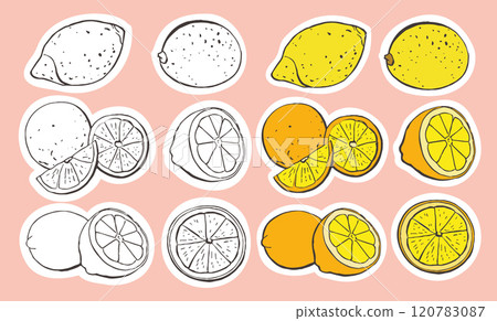 Fresh Lemons, Orange, Citrus Slices in Flat Style with Fruit Ingredients for Drinks and Desserts 120783087