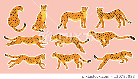 Wild Cats Icon Set Vector Cartoon Illustration with a Cut-out Fields 120783088