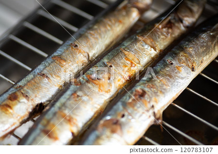 Grilled pacific saury 120783107