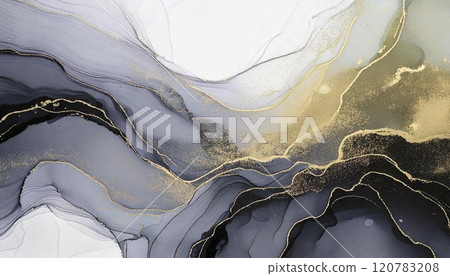 Luxurious marble-style background illustration Marble pattern alcohol ink art Gold, silver, black and white AI-generated material Luxurious marble-style background illustration Marble pattern alcohol ink art Gold, silver, black and white AI-generated material 120783208