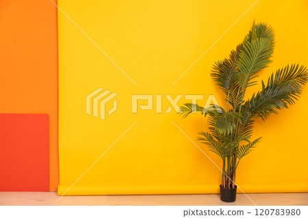 A green tree in the interior of a yellow orange living room A green tree in the interior of a yellow orange living room 120783980