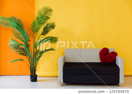 Office sofa and green plant in the interior of a yellow orange room Office sofa and green plant in the interior of a yellow orange room 120784078