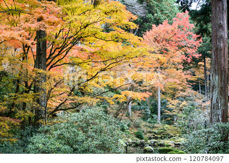 Autumn in Kyoto, Ohara Sanzenin Temple 120784097