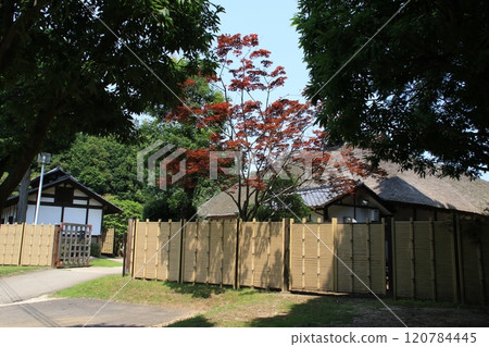Scenery of the ancient house reconstruction square at Hitachi Fudoki Hills 120784445