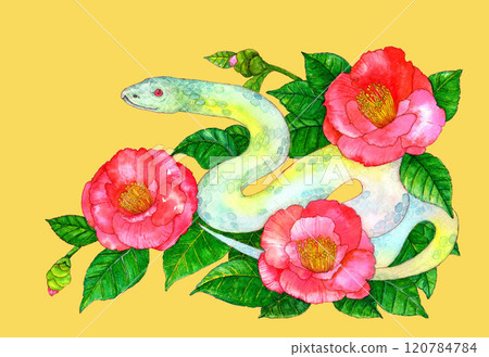 水彩新年賀卡蛇年黃色背景畫的紅山茶花插圖 120784784