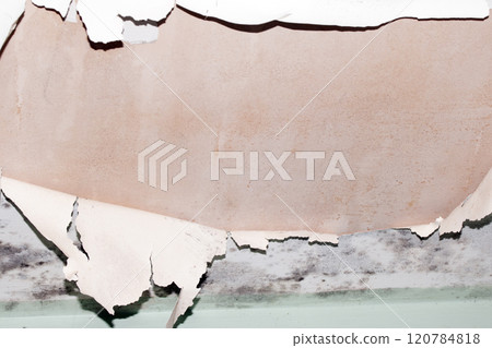 Peeling Damaged Flaking and Falling Down Paint on a Ceiling in a Damp Bathroom Peeling Damaged Flaking and Falling Down Paint on a Ceiling in a Damp Bathroom 120784818