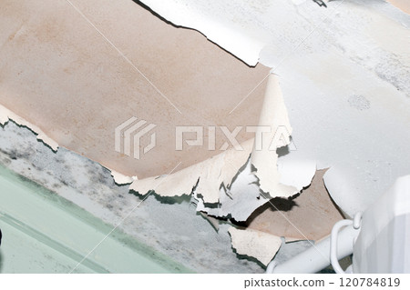 Peeling Damaged Flaking and Falling Down Paint on a Ceiling in a Damp Bathroom 120784819