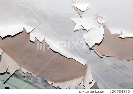 Peeling Damaged Flaking and Falling Down Paint on a Ceiling in a Damp Bathroom 120784820