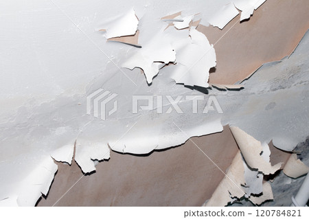 Peeling Damaged Flaking and Falling Down Paint on a Ceiling in a Damp Bathroom Peeling Damaged Flaking and Falling Down Paint on a Ceiling in a Damp Bathroom 120784821