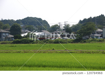 茨城縣小美玉市風景 茨城縣小美玉市風景 120784968