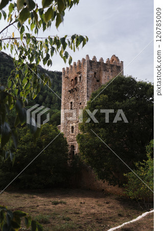 an ancient castle on the background of a forest 120785009