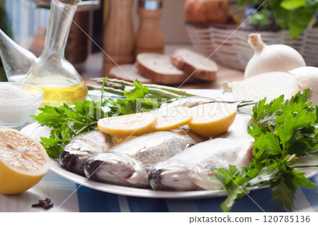 Image of freshness trout and vegetables Image of freshness trout and vegetables 120785136