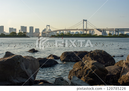 Rainbow bridge and Tokyo cityscape, view from Odaiba island park across Tokyo Bay in Tokuo, Japan Rainbow bridge and Tokyo cityscape, view from Odaiba island park across Tokyo Bay in Tokuo, Japan 120785226