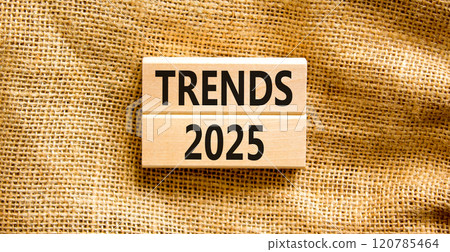 Planning trends 2025 new year symbol. Concept words Trends 2025 on beautiful wooden blocks. Beautiful canvas background. Business trends 2025 new year concept. Copy space. 120785464