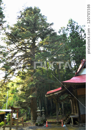 八坂神社位於埼玉縣南野町上澤 120785586