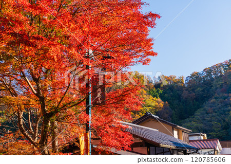 Autumn in Mount Takao: Autumn leaves in front of Kiyotaki Station 120785606