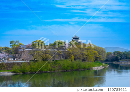 【日本名城百選】岡山城和春天的旭川 岡山縣岡山市北區3區 120785611