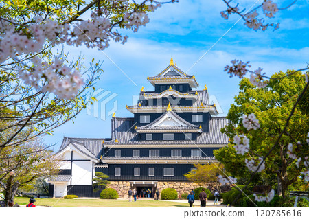 [Japan's 100 Famous Castles] Okayama Castle: Somei-Yoshino Cherry Blossoms and Castle Tower 3, Kita-ku, Okayama City, Okayama Prefecture 120785616