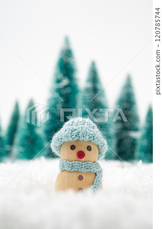 聖誕節圖像白色背景 120785744