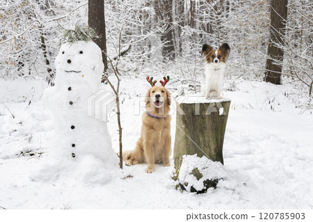 A red-haired dog and a small dog next to a snowman in the winter forest A red-haired dog and a small dog next to a snowman in the winter forest 120785903