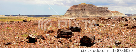 Panorama Bleak Landscape Petrified Forest National Park Arizona 120786059