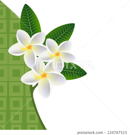 Illustration of a floral background with a sprig of plumeria frangipani (Plumeria) with leaves. 120787523