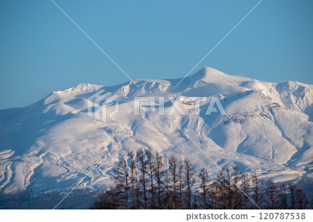 Snowy mountain peaks and larch forests on a clear winter day, Mt. Tokachi Snowy mountain peaks and larch forests on a clear winter day, Mt. Tokachi 120787538