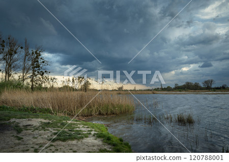 Lake shore with reeds and a cloudy rainy sky 120788001